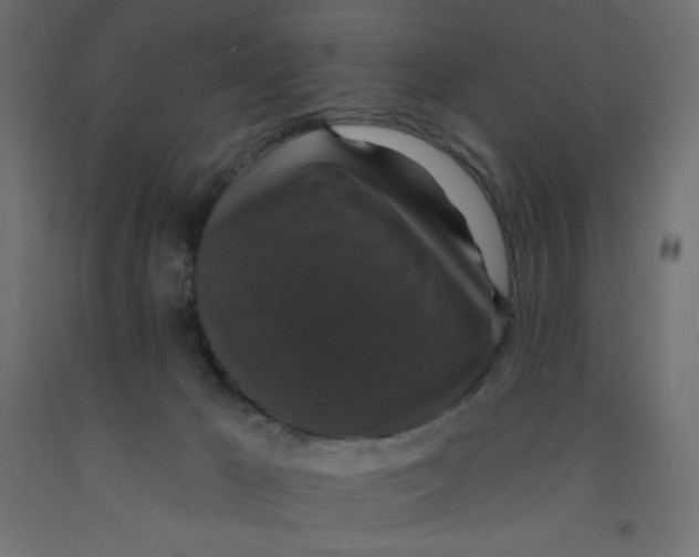 X0000092320029200710121531