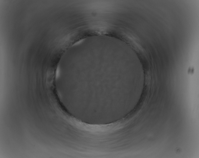 X0000092320030200710121531