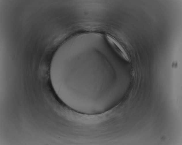 X0000092320031200710121531