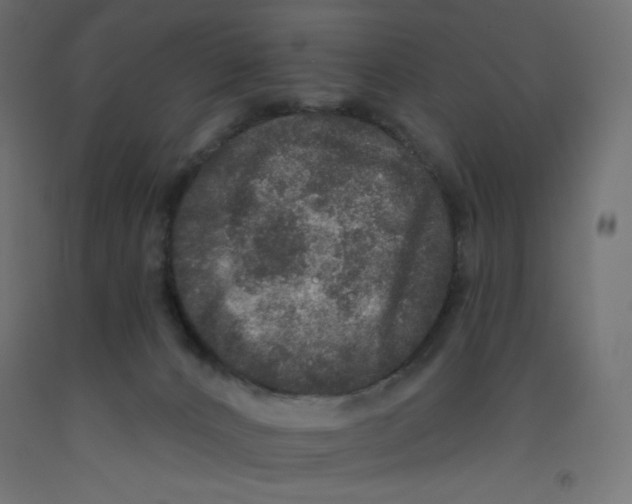 X0000092320032200710121531
