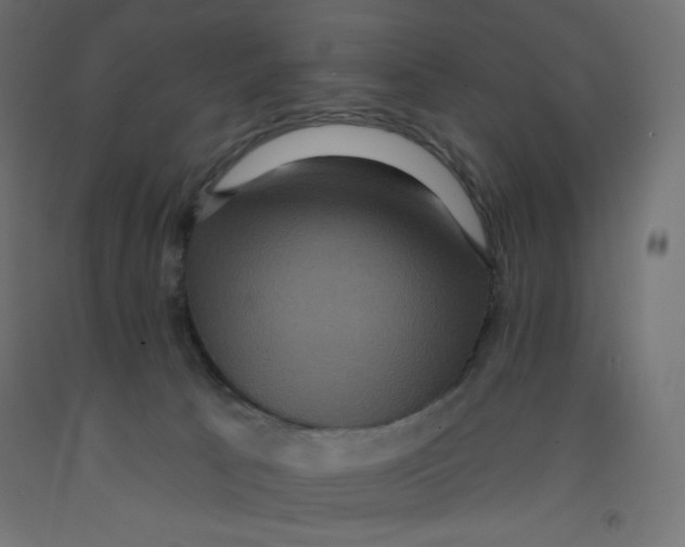 X0000092320033200710121531