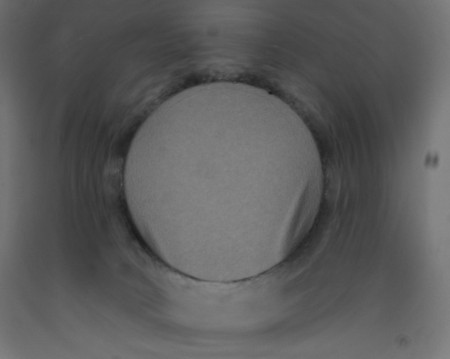 X0000092320034200710121531