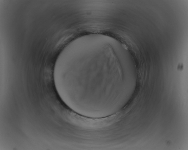 X0000092320035200710121531