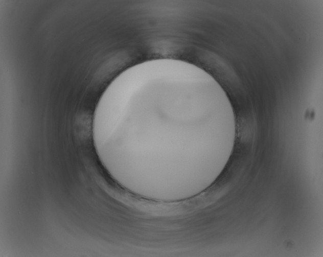 X0000092320036200710121531