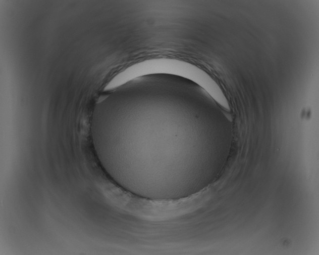 X0000092320037200710121531