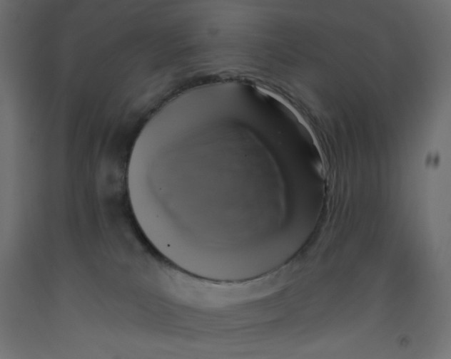 X0000092320039200710121531