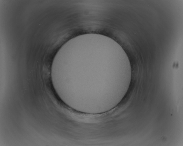 X0000092320040200710121531