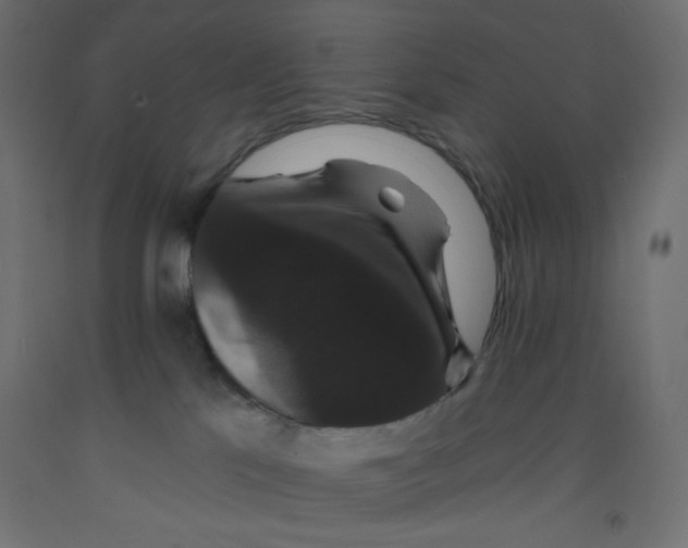X0000092320041200710121531