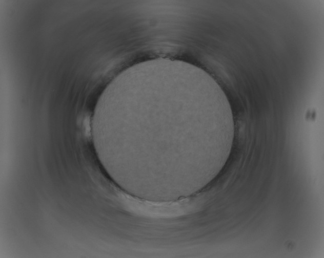 X0000092320042200710121531