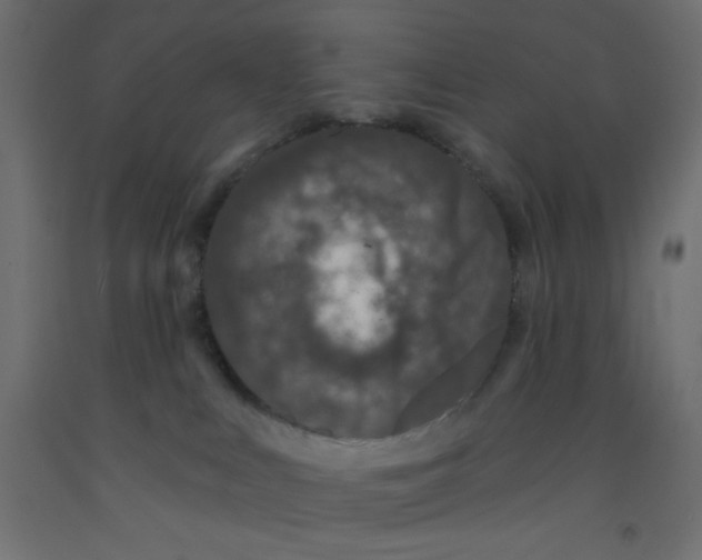 X0000092320043200710121531
