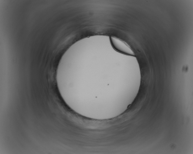 X0000092320044200710121531