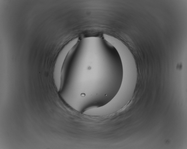 X0000092320045200710121531