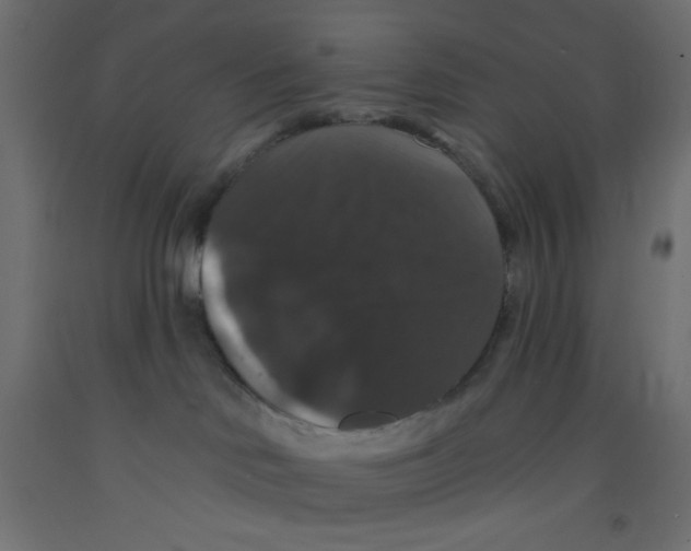 X0000092320046200710121531