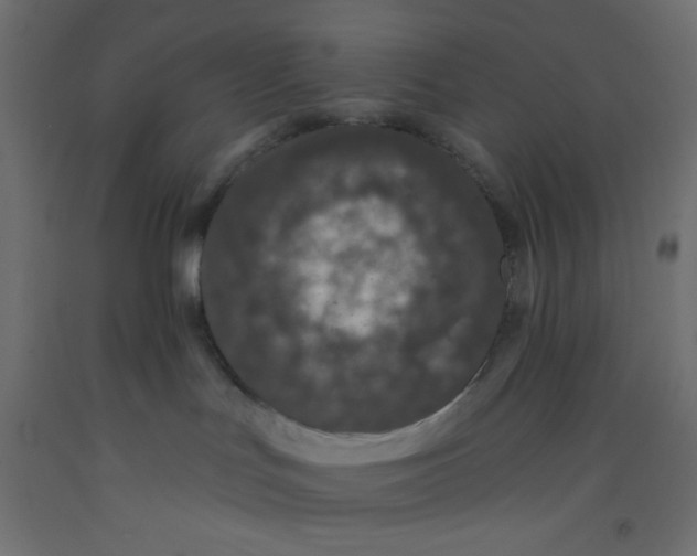 X0000092320047200710121531