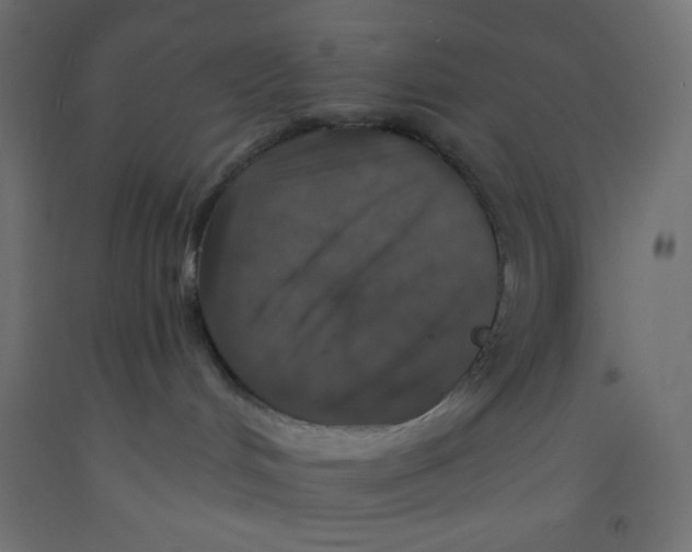 X0000092320048200710121531