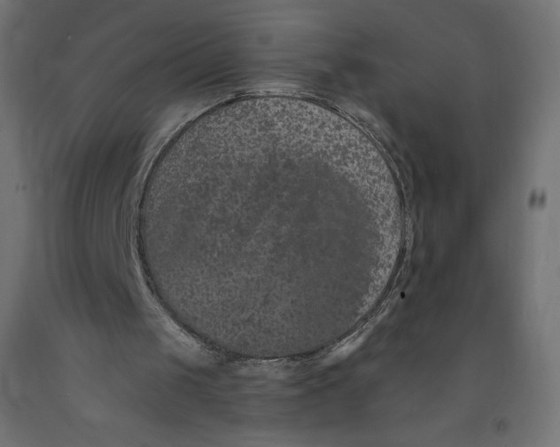 X0000092320049200710121530