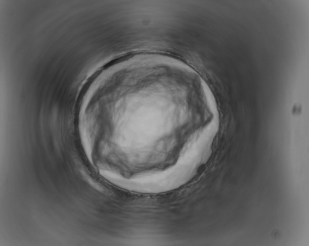 X0000092320050200710121530