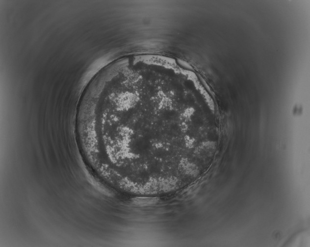 X0000092320051200710121530