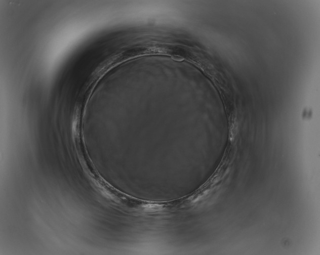 X0000092320052200710121530