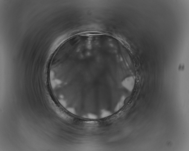 X0000092320053200710121530