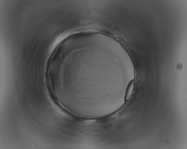 X0000092320054200710121530