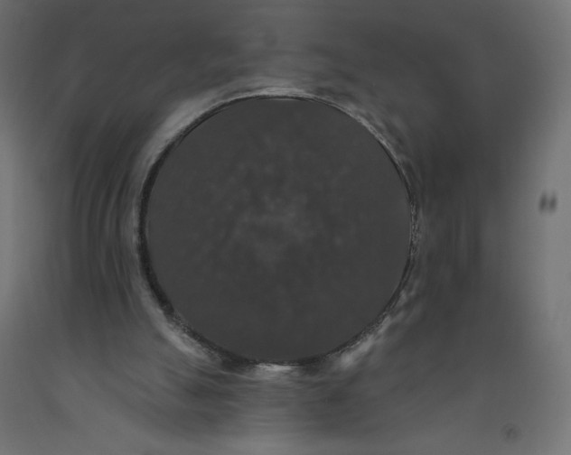 X0000092320055200710121530