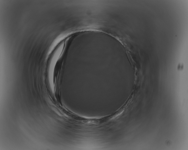 X0000092320056200710121530