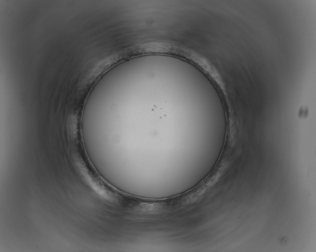 X0000092320057200710121530