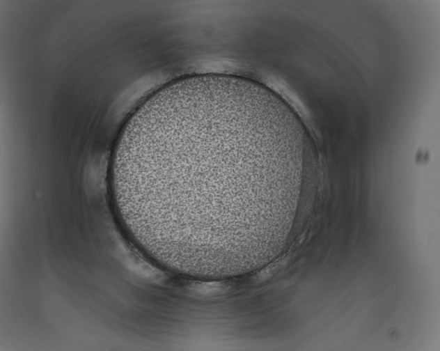 X0000092320058200710121530