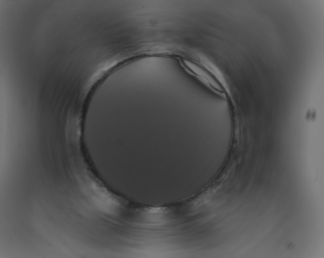 X0000092320059200710121530