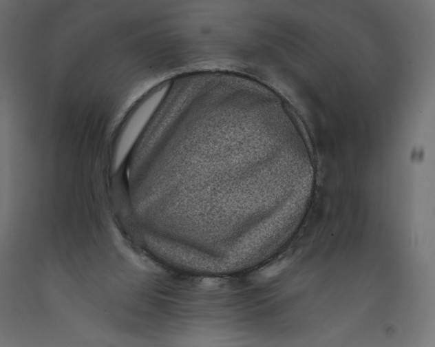 X0000092320060200710121530