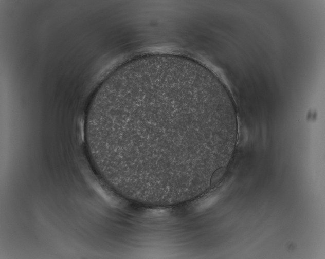 X0000092320061200710121530