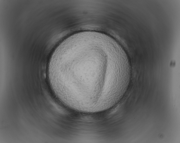 X0000092320062200710121530