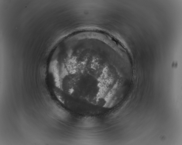 X0000092320063200710121530