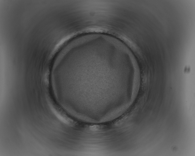 X0000092320064200710121530
