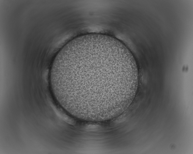 X0000092320066200710121530