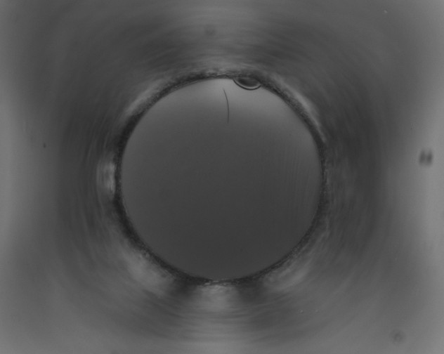 X0000092320067200710121530