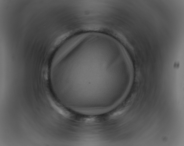 X0000092320068200710121530