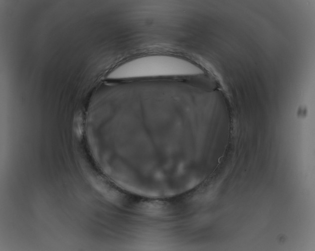 X0000092320069200710121530