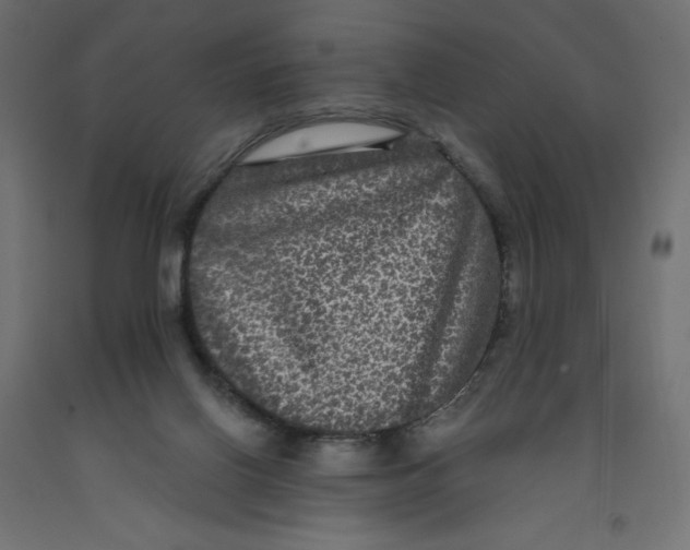 X0000092320070200710121530