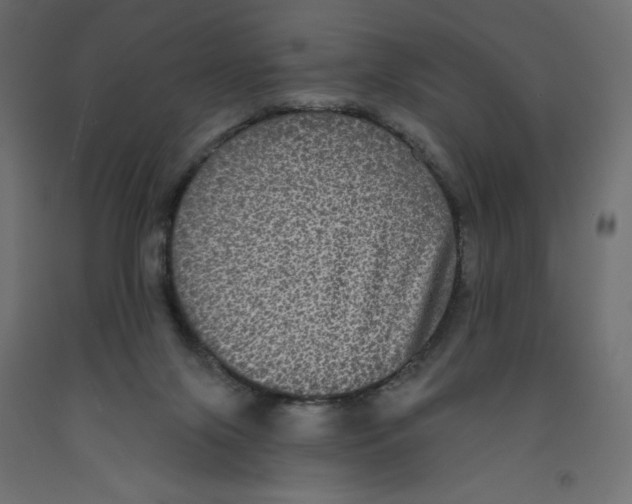 X0000092320071200710121530