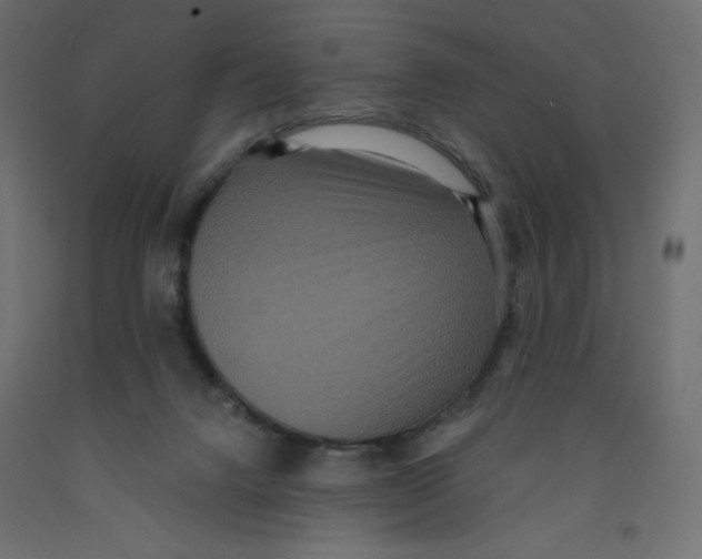 X0000092320072200710121530