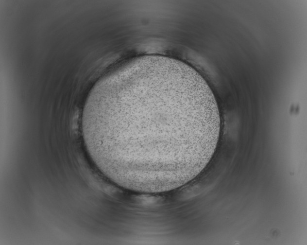 X0000092320073200710121530