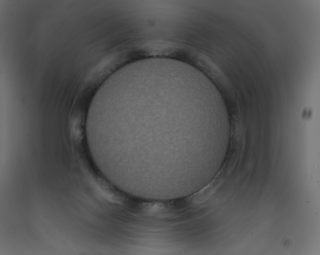 X0000092320074200710121531