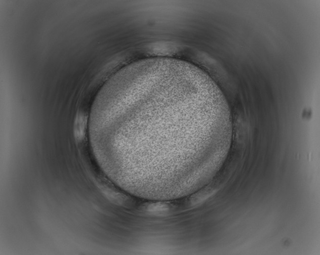 X0000092320075200710121531
