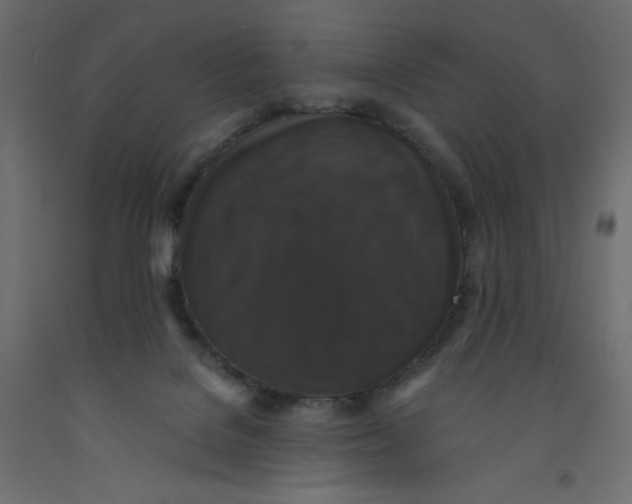 X0000092320076200710121531