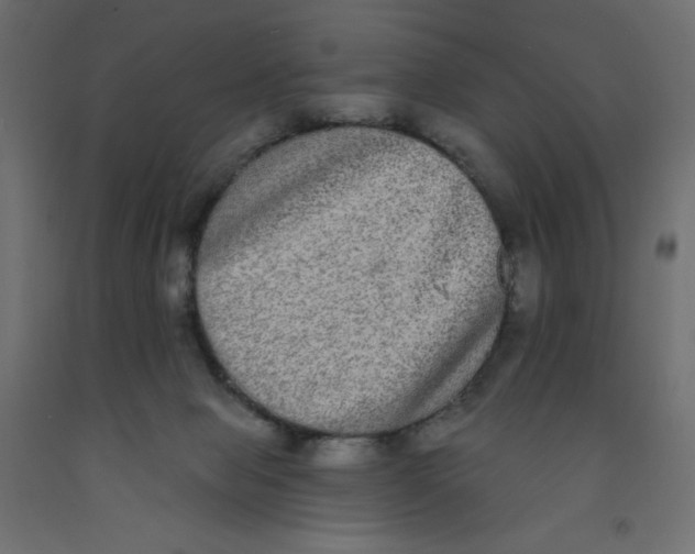 X0000092320077200710121531