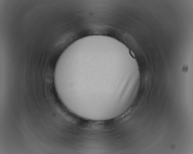 X0000092320078200710121531
