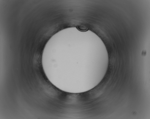X0000092320079200710121531