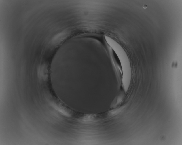X0000092320080200710121531